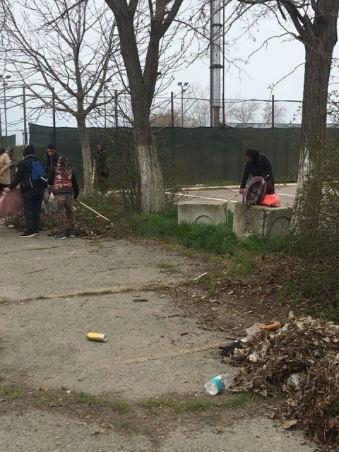 Activități de ecologizare desfășurate în Constanța, sub coordonarea Poliției Locale