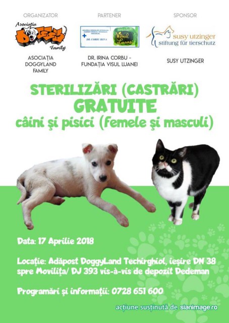 Maraton de sterilizare a animalelor, în Techirghiol