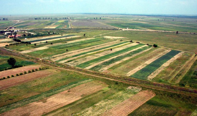 APIA: Cereri de plată pentru circa 1,3 milioane de hectare de teren agricol, depuse până în prezent