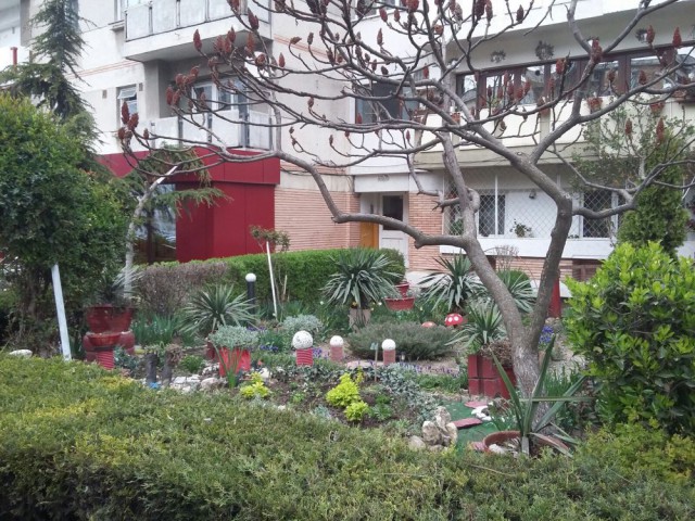 Asociaţiile de proprietari înfrumuseţează grădiniţele din faţa blocurilor din Constanţa. Iată care sunt cele mai curate!