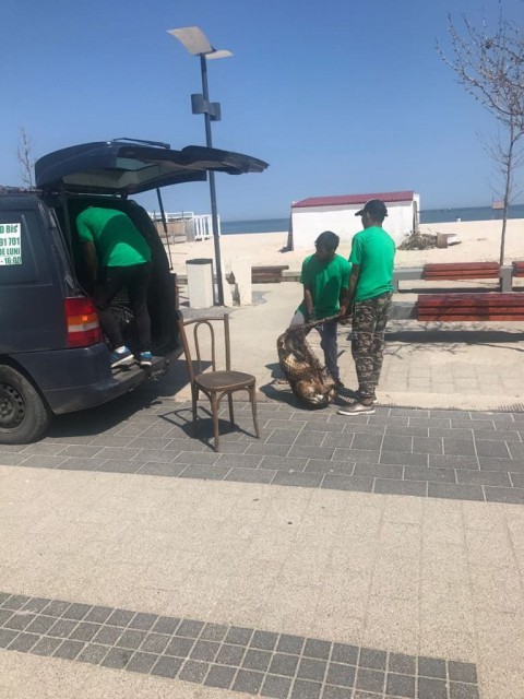 VIDEO/FOTO. Hingherii fugăresc câinii maidanezi prin staţiunea Mamaia!