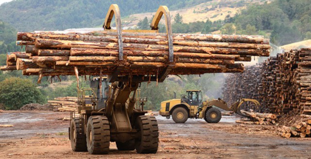 România a exportat, în ianuarie, lemn şi plută în valoare de circa 50 milioane euro