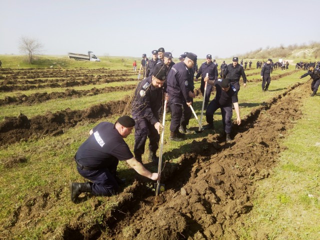 Jandarmii constănţeni, solidari cu natura