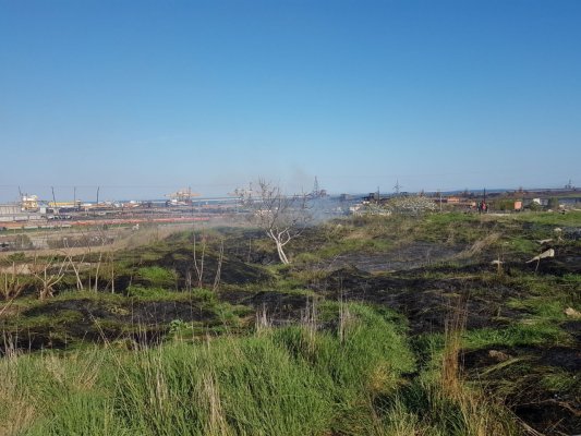 INCENDIU în comuna Poarta Albă, la ferma 4