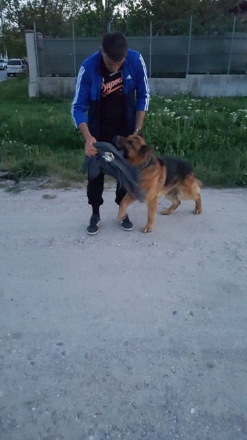 Copil de 6 ani, dat dispărut la Negru Vodă! Poliţiştii l-au căutat cu câinele de urmă