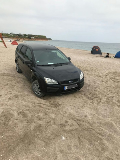 Bivol din Câmpina, pe plaja din Vamă! Polițiștii l-au 'felicitat' cu 10.000 de lei