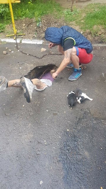 IMAGINI EMOȚIONANTE în Constanța! Căței salvați dintr-o groapă astupată în mod intenționat!