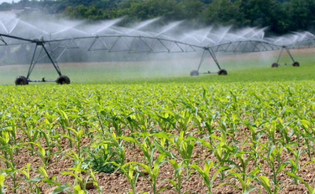 Fermierii vor primi gratuit şi anul acesta apa pentru irigat; 26.000 de hectare au fost deja irigate