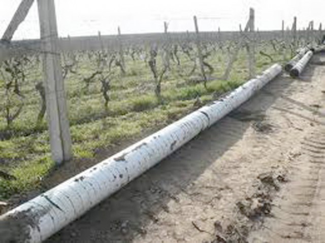 Urmează pronunţarea într-un dosar de furt