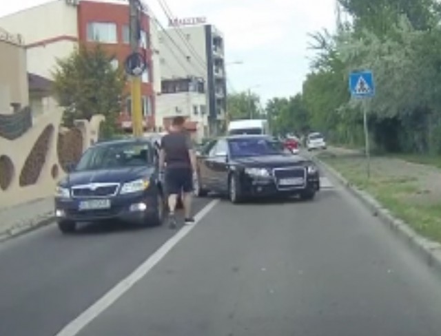 Bizon în trafic: Ce a făcut un şofer în această situaţie i-a lăsat pe toţi fără cuvinte VIDEO