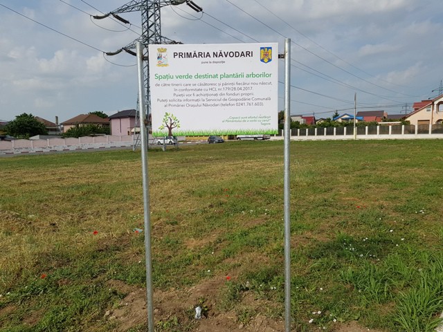 Poftiţi la plantat copaci! Proiectul iniţiat de consilierul Dumitraşcu prinde contur!