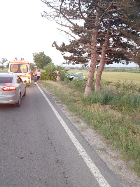 Accident rutier TERIBIL, la Constanţa: A RUPT COPACUL CU MAŞINA!