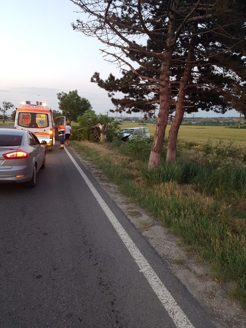 Accident rutier TERIBIL, la Constanța: un copac a fost RUPT!