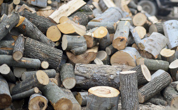 Romsilva atenţionează asupra unui posibil blocaj pe piaţa lemnului, inclusiv în asigurarea lemnului de foc pentru populaţie