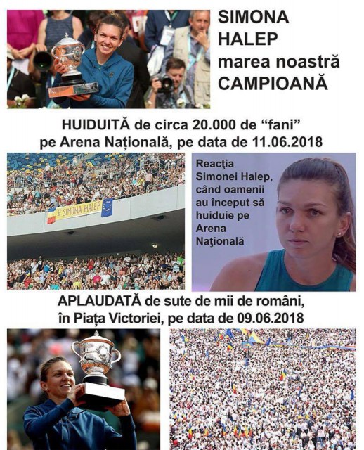 Dragnea: L-am dat afară pe George Harabagiu, după campania de pe Facebook cu Simona Halep huiduită pe Arena Naţională