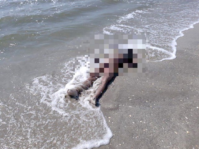 A şaptea victimă a mării de la începutul sezonul estival: un bărbat, înecat în Mamaia Nord!