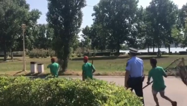 A început operaţiunea ‘vânătoarea de maidanezi’ în staţiunea Mamaia!