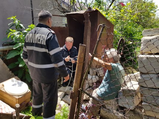 SALVARE. Pompierii au scos un cățel dintr-o fosă septică adâncă de trei metri!
