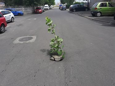 FOTO. Cum sunt „semnalizate” gropile în Poarta 6