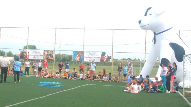 Agigea vrea să fie un model în soluţionarea problemei câinilor maidanezi! Campanie de STERILIZARE GRATUITĂ, timp de o lună!