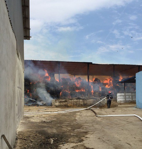 DOUĂ ZILE de FOC pentru pompierii constănțeni: au ars 10.000 de baloți de lucernă!