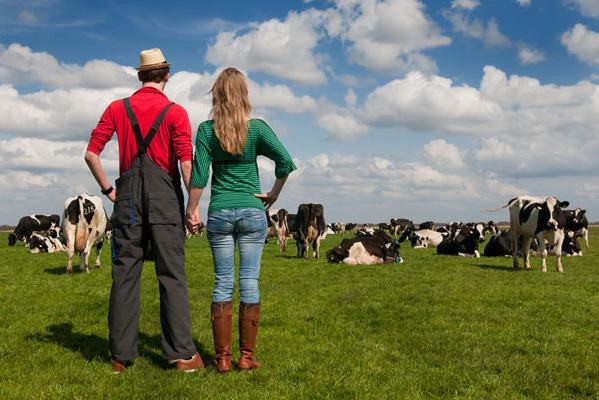 Eurostat: O treime din fermele din UE sunt în România, dar reprezintă doar 3, 4% din producţia blocului comunitar