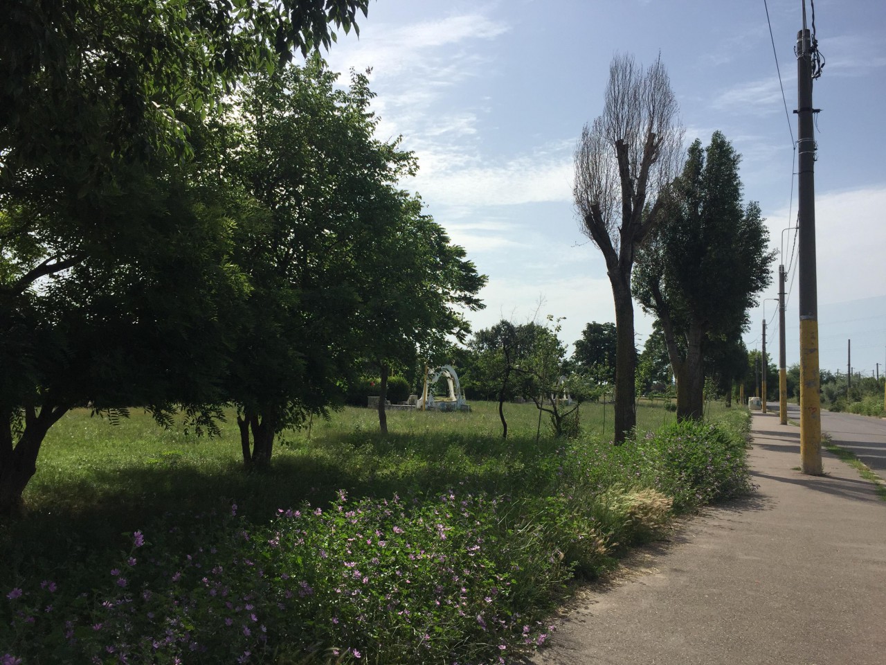 Primăria Constanţa ‘ascunde mizeria sub preş’: JUNGLA de la periferie, mascată cu acţiuni de igienizare în interes turistic! Primăria Constanţa ‘ascunde mizeria sub preş’: JUNGLA de la periferie, mascată cu acţiuni de igienizare în interes turistic!