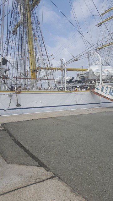 Bricul Mircea a adus emoţii şi mii de aplauze pentru cei 100 de cadeţi botezaţi de Zeul Neptun, dar şi o cerere în căsătorie!