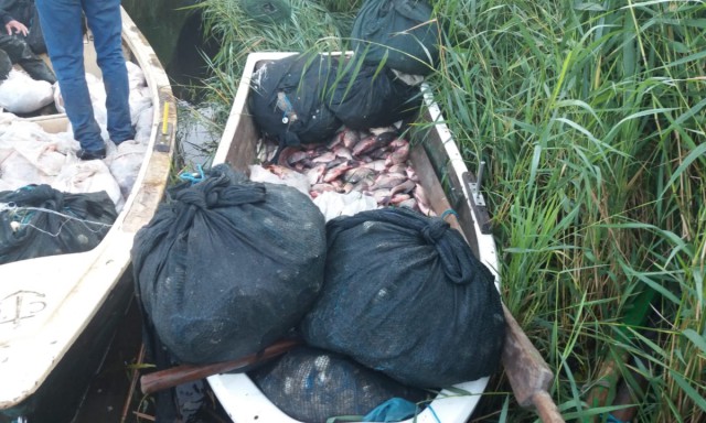 Sute de kilograme de pește și plase de pescuit cu fir textil, confiscate de polițiștii de frontieră
