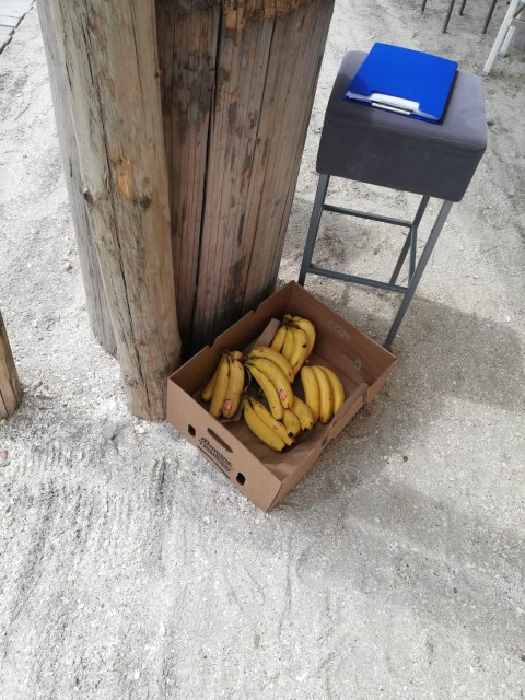 Vânzătorii ambulanţi, AMENDAŢI de oamenii legii!