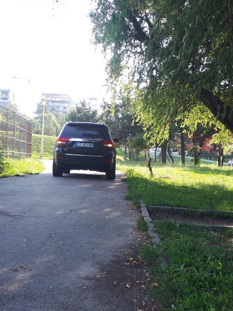 În atenţia autorităţilor: Un 'bizon' la volan, prin Parcul Tăbăcărie!