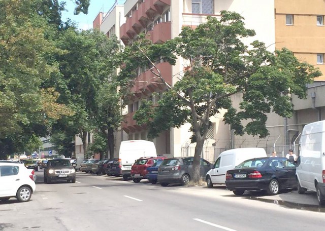 Continuă asfaltarea străzilor din Constanţa: ‘Lucrările se vor desfăşura pe timpul nopţii’