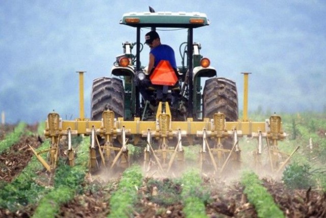 Ministrul Agriculturii anunţă o plată directă de 100 de euro pe hectar pentru culturile de toamnă din 2022
