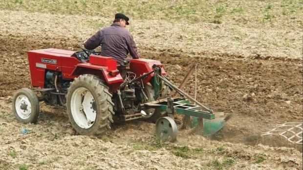În Europa Centrală crește furia fermierilor ca urmare a afluxului de cereale ucrainene 