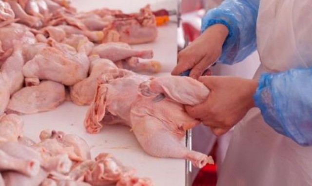 INS: Producţia de carne a României a crescut la ovine, caprine şi păsări, dar a scăzut la porc şi vită, în iunie 2018