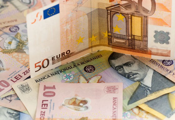 Gospodăriile din Bulgaria, Estonia, Lituania şi România, singurele din UE care au alocat cei mai mulţi bani pentru alimente