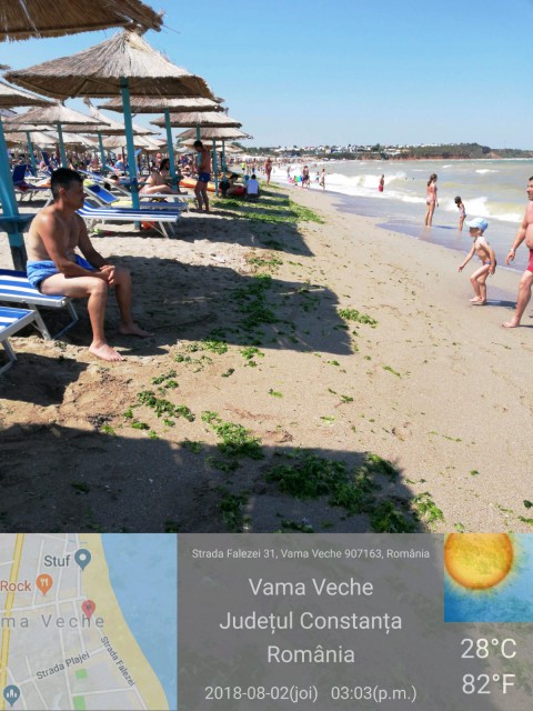 Peste 1.300 TONE DE ALGE, colectate de pe plajele din sudul litoralului în TREI NOPŢI!