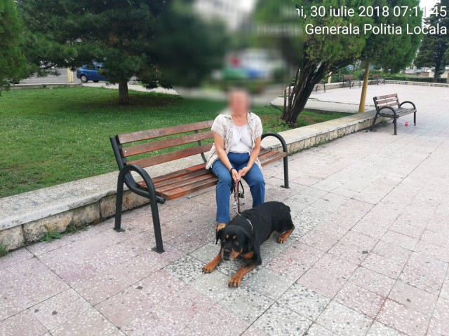 Deţinătorii de câini periculoşi, AMENDAŢI de poliţiştii locali