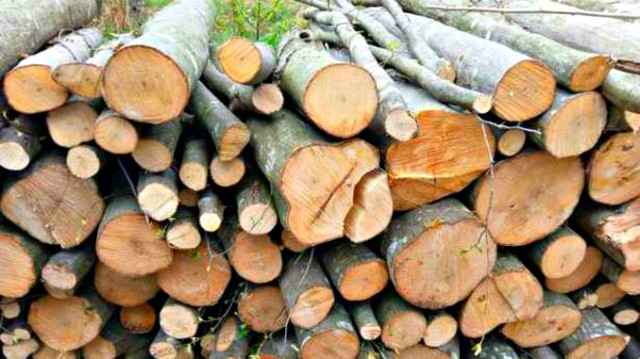 Romsilva a vândut populaţiei 1,37 milioane de metri cubi de lemn de foc în 10 luni; preţul mediu - 180 de lei/mc