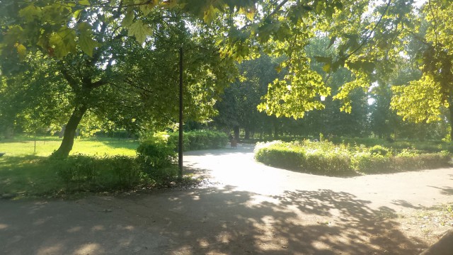 PNL Constanța: „Un oraș atractiv și verde va genera întotdeauna un mediu atractiv”