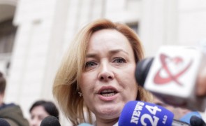 Carmen Dan, despre alegerile europarlamentare: Au fost constituite 217 dosare penale