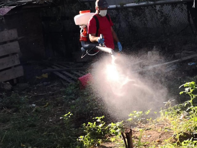 FOTO. PESTA PORCINĂ. Preventiv, în Saraiu se face dezinsecție și a fost instalat filtru la intrarea în comună