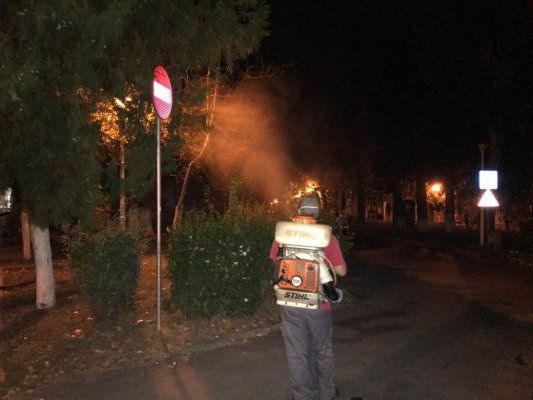 Continuă acţiunile de DEZINSECŢIE în municipiul Constanţa! Iată zonele vizate