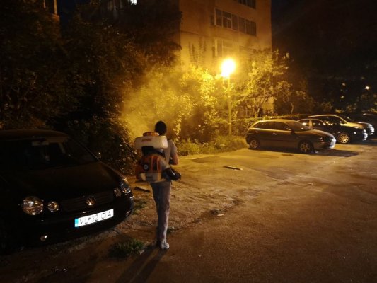 Acțiuni de dezinsecție în Medgidia