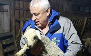 România înregistrează primele succese, iar Petre Daea dovedește că e fruntaș și la Bruxelles: A închis, deja, patru dosare