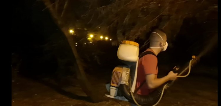 Primăria Constanța face dezinsecția în Mamaia, Palazu Mare și Tomis Plus