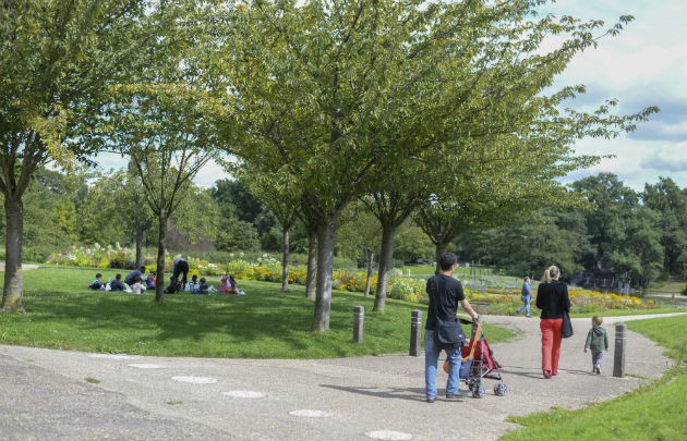 Se va amenaja un parc în localitatea Moșneni