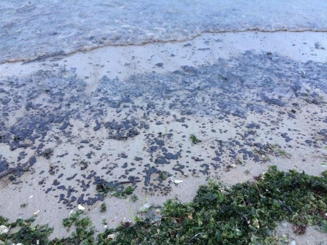 FOTO. Turiştii aflaţi pe plaja din Mangalia au făcut o baie de... PETROL! Iată ce spun autorităţile