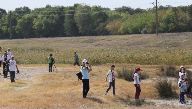 Tabără pentru inelarea păsărilor migratoare, în Grindul Chituc