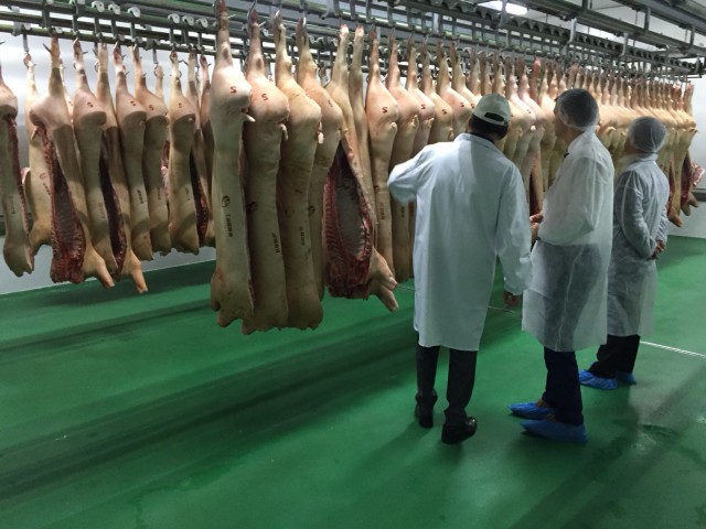 Carnea de porc, controlată de inspectorii DSVSA Constanţa! Iată ce nereguli au găsit!